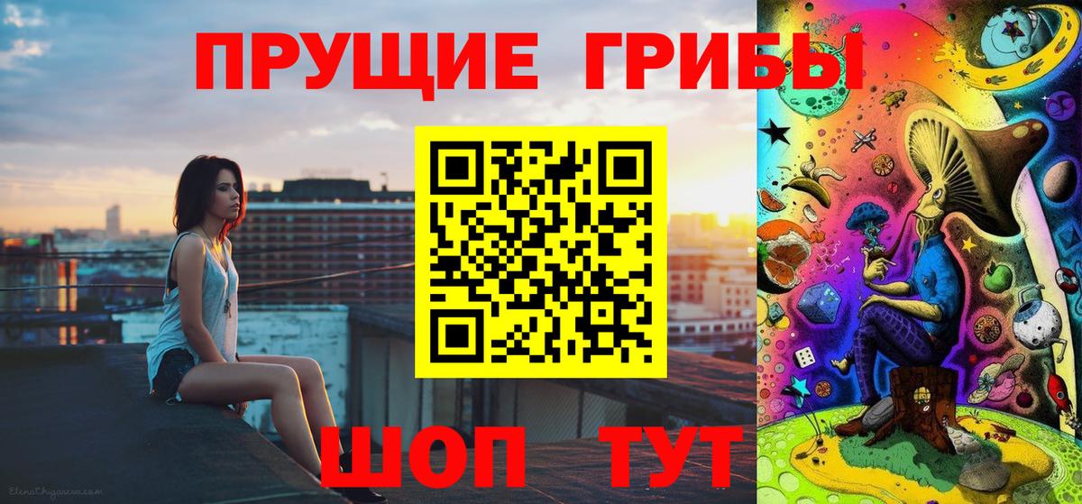 Галлюциногенные грибы Psilocybine cubensis Бузулук