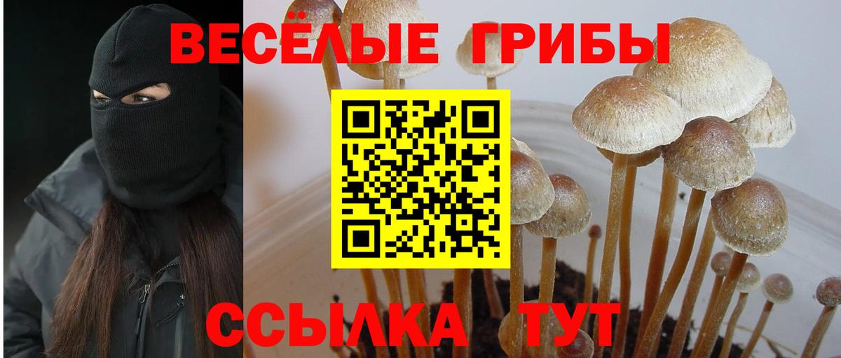 Бузулук  Псилоцибиновые грибы мухоморы  купить  сайты  Галлюциногенные грибы Psilocybe  Вход с VPN 